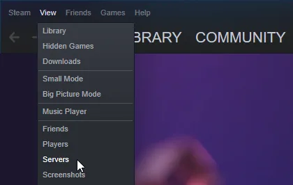 Auffinden der Steam Server Favoritenliste