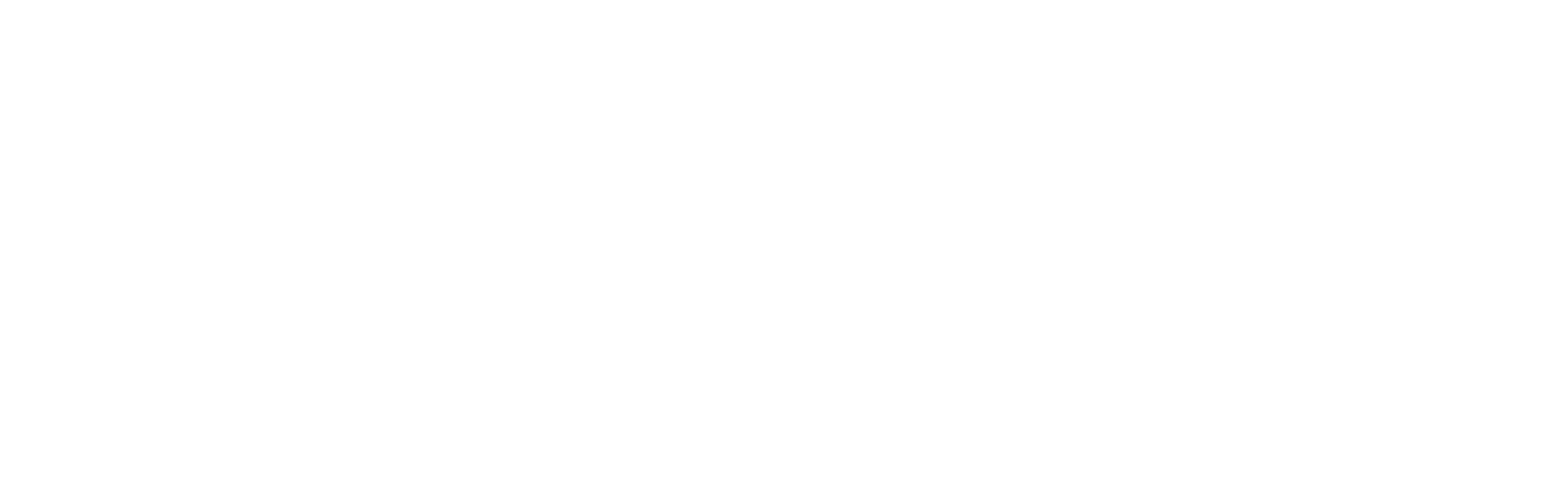 Windrose Logo